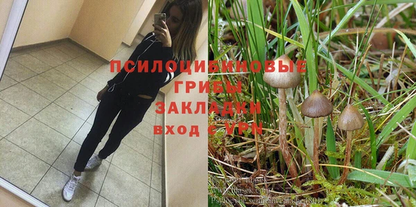 ГАЛЛЮЦИНОГЕННЫЕ ГРИБЫ Балабаново