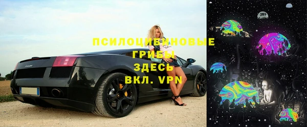 ГАЛЛЮЦИНОГЕННЫЕ ГРИБЫ Балабаново